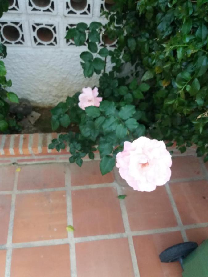 Don Daniel Appartement Benalmádena